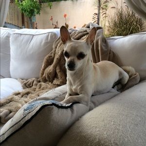 Meet your Posher, Susan